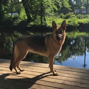 Meet your Posher, Aimee